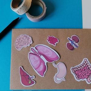 Biology sticker| anatomy stickers | organ stickers |heart |lungs| Brain