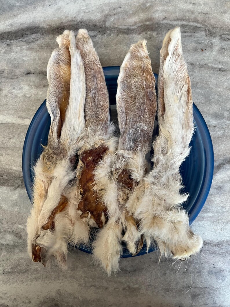 Rabbit Ears for Dogs - Etsy