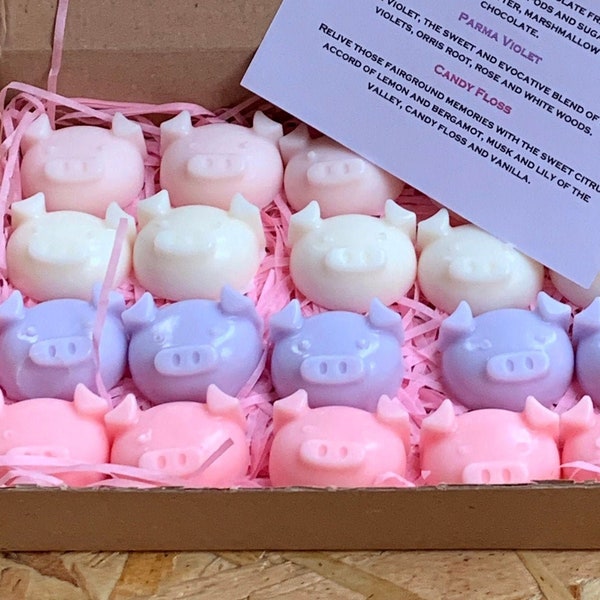 Piggy Wiggle Wax Melts Sweet Candy Selection Box – Non Edible Gift (Marshmallow, Milky Bar, Parma Violet & Candy Floss)