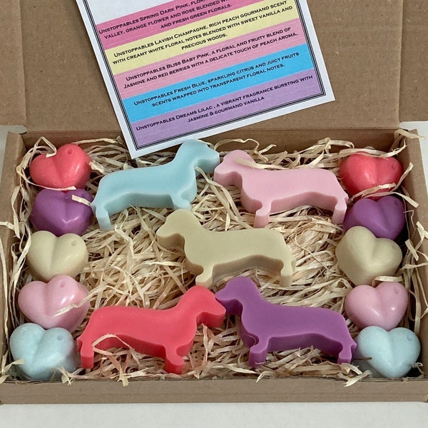 Unstoppable Dachshunds Sausage Dogs Box Of Wax Melts Fresh Blue Spring Lavish Bliss Dreams Laundry. Spring Clean Scents. Free UK Post