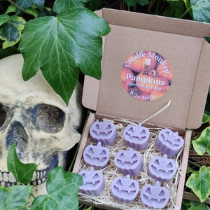 Pumpkin Soy Wax Melts – Kies uit 6 griezelige en zoete geuren | Pumpkin Spice, betoverend brouwsel, drakenbloed.  Gratis verzending binnen het VK