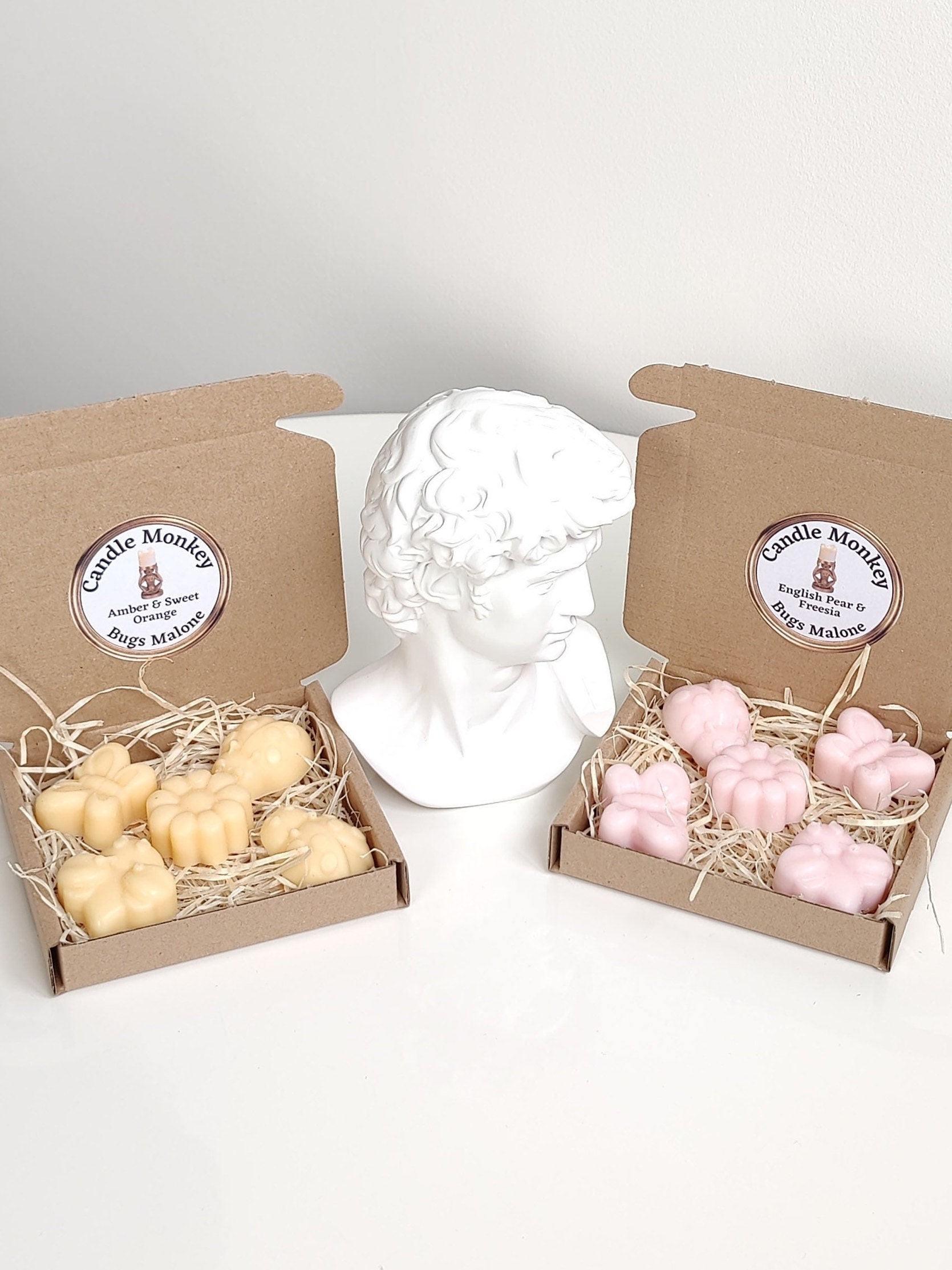 Bugs Malone Bugs Malone 5 Wax Melts Insects Entomologist Gift Set Free UK Post - Etsy
