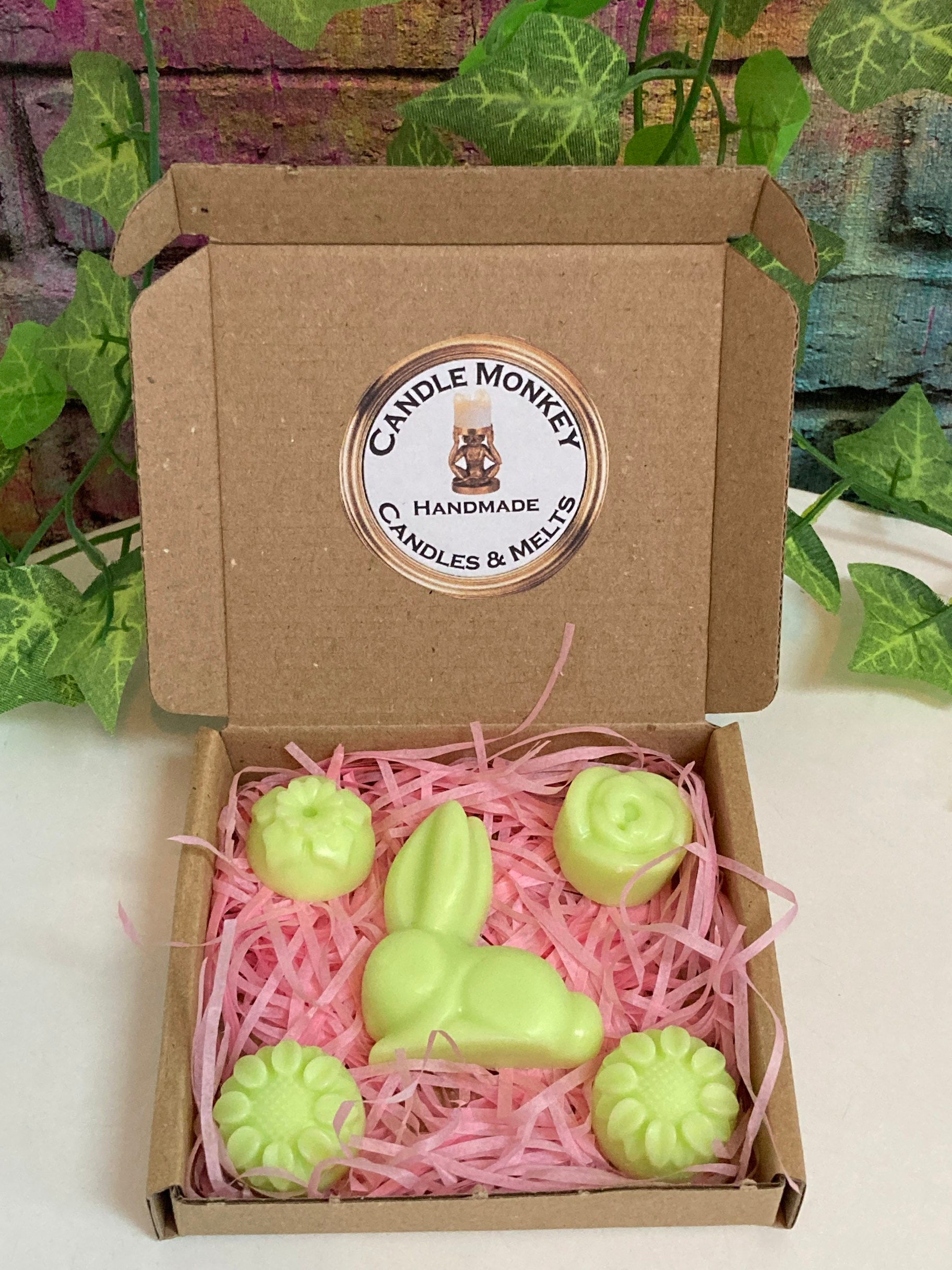 Year of the Rabbit Spring Fragrances Bunny Rabbits Wax Melts Etsy