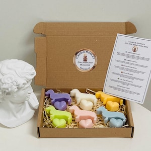 Dachshund Malone Sausage Dogs Wax Melts Pomegranate Noir, Orange Blossom, Pear & Freesia, Amber, Wood Sage Sea Salt, Lime Basil Free UK Post