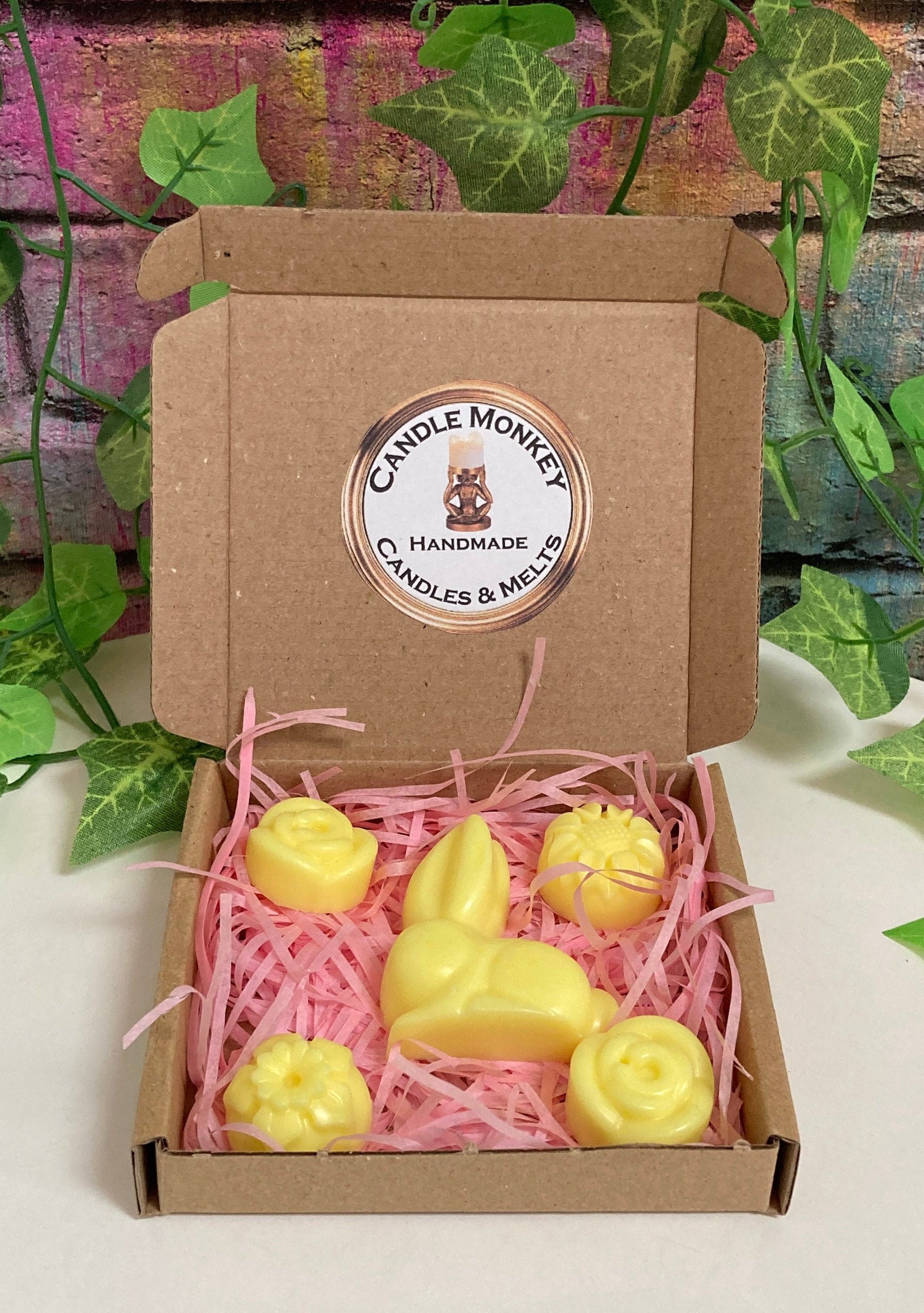 Year of the Rabbit Spring Fragrances Bunny Rabbits Wax Melts Etsy