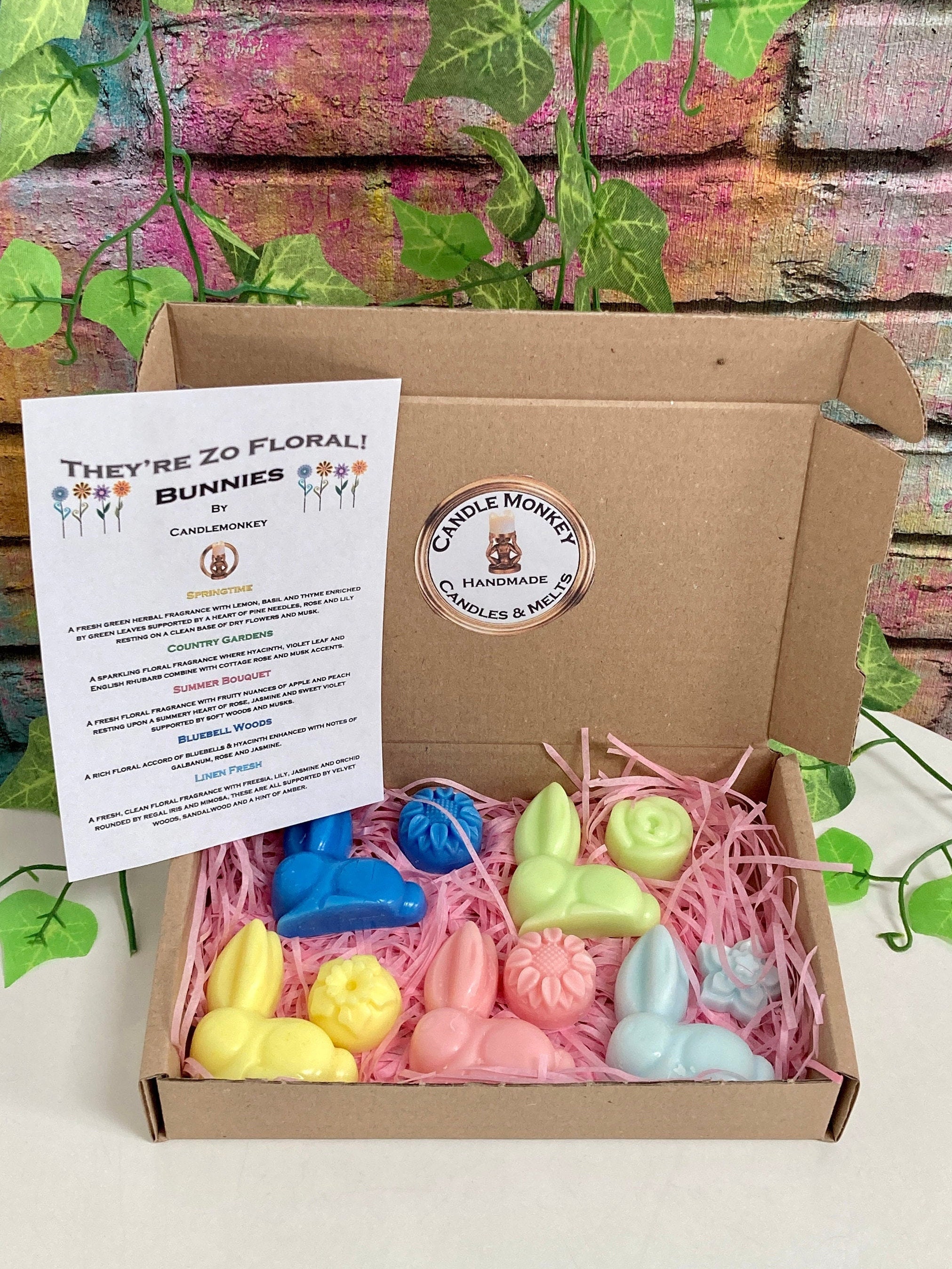 Year of the Rabbit Spring Fragrances Bunny Rabbits Wax Melts Etsy