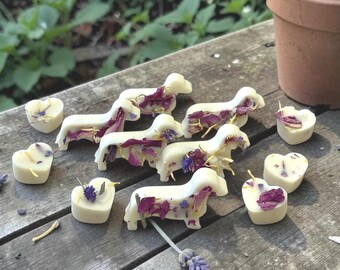 Ręcznie robione woski do topienia przyjazne psom, 12 czystych wosków sojowych z jamnikami i sercami z kwiatami polnymi, pudełko prezentowe z olejkami eterycznymi przyjaznymi zwierzętom