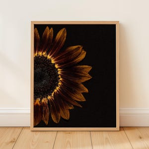 Sunflower Pressed Flower Art Print: Wildflower Wall Decor