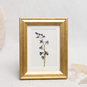 Pressed Delphinium Framed Mini Art Print: Gold Frame, Pressed Flower Giclée