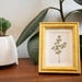 Pressed Yellow & Pink Roses Mini Art Print || 2x3 Gold Framed Pressed ...