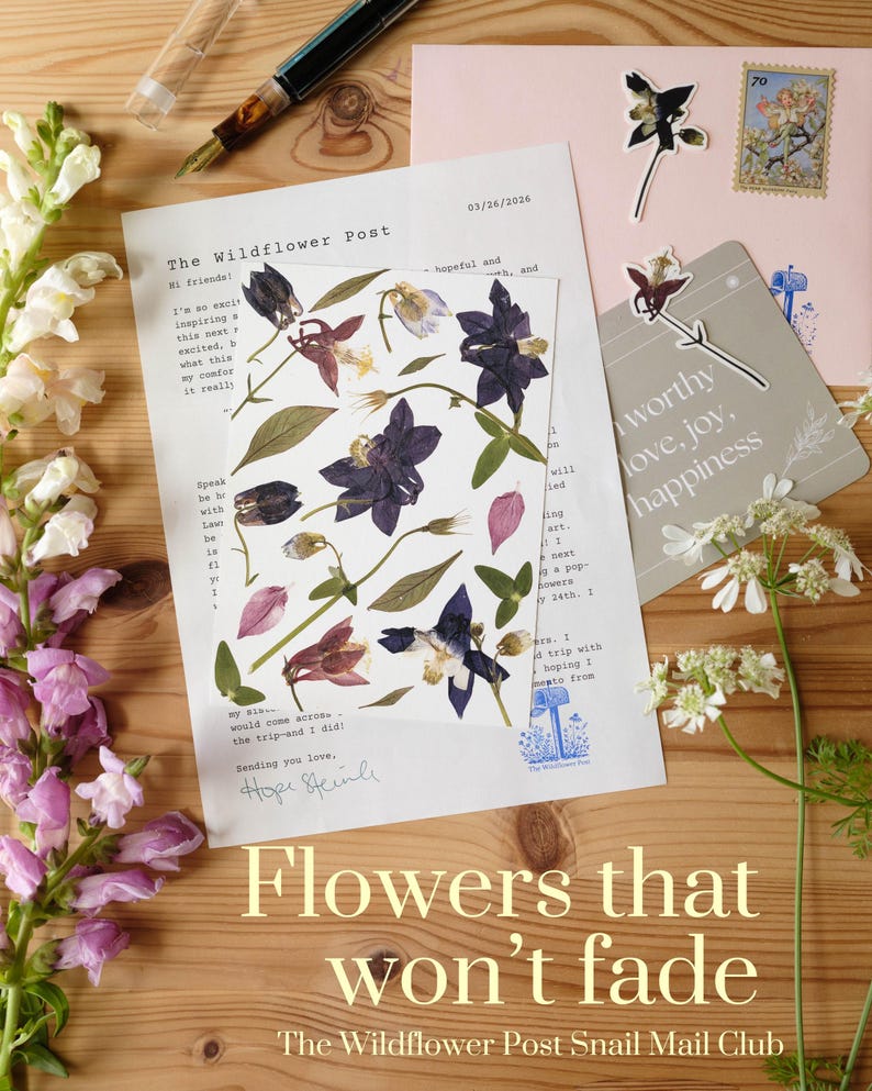 Snail Mail Club - Monthly Pressed Flower Art Print & Letter image 5