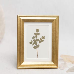 Pressed Eucalyptus Framed Mini Art Print: Gold Frame, Pressed Flower Giclée