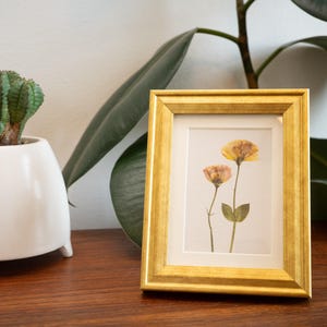 Pressed Yellow & Pink Roses Mini Art Print || 2x3 Gold Framed Pressed ...