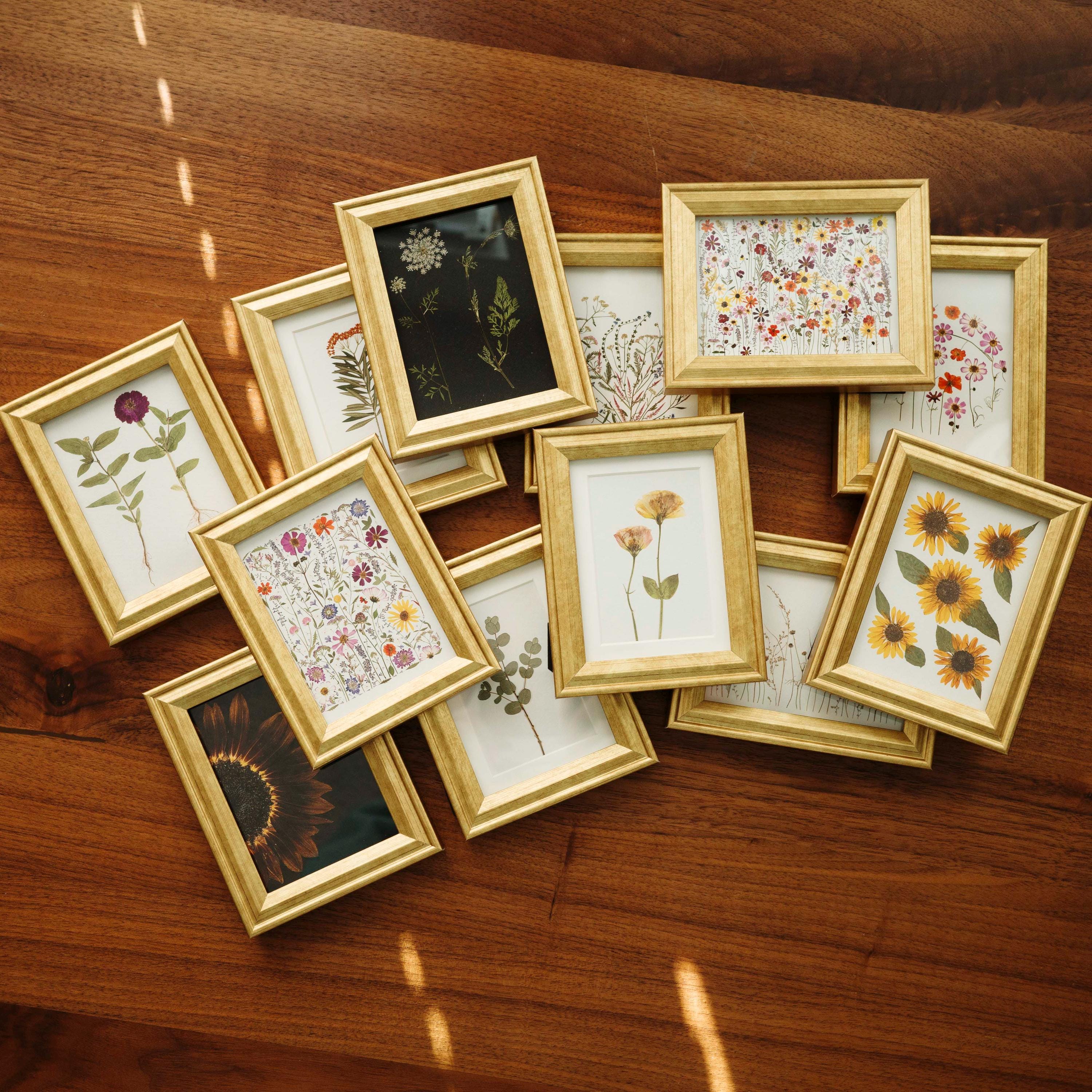 Pressed Flower Framed Mini Art Prints - Etsy