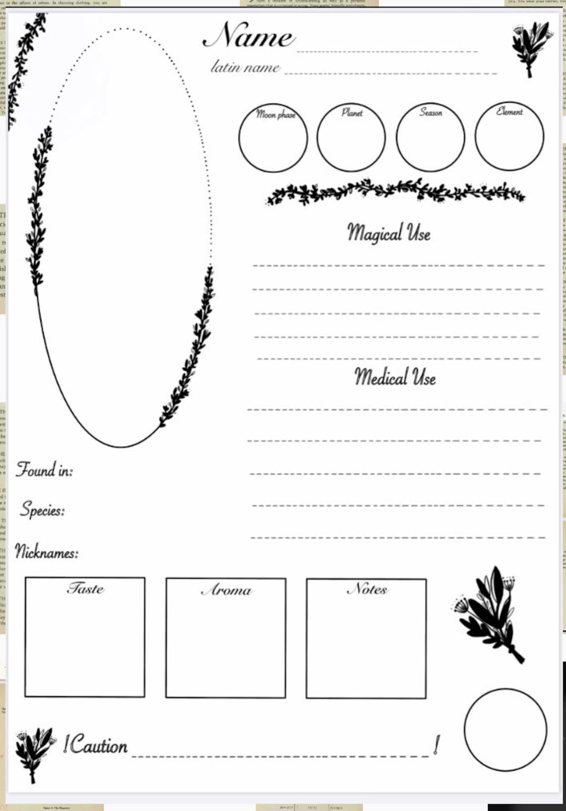Herb Blank Template PDF Grimoire Page to print - Etsy France