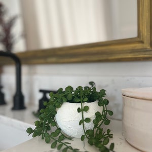 May include: A small white planter with a textured surface holds a trailing green plant. The planter is sitting on a white countertop.