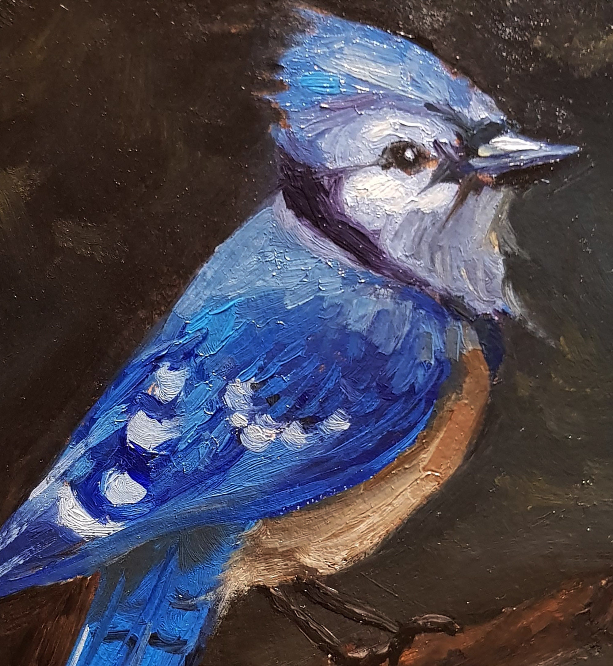 Blue Jay Painting Bird Original Art Animal Oil Painting | Etsy