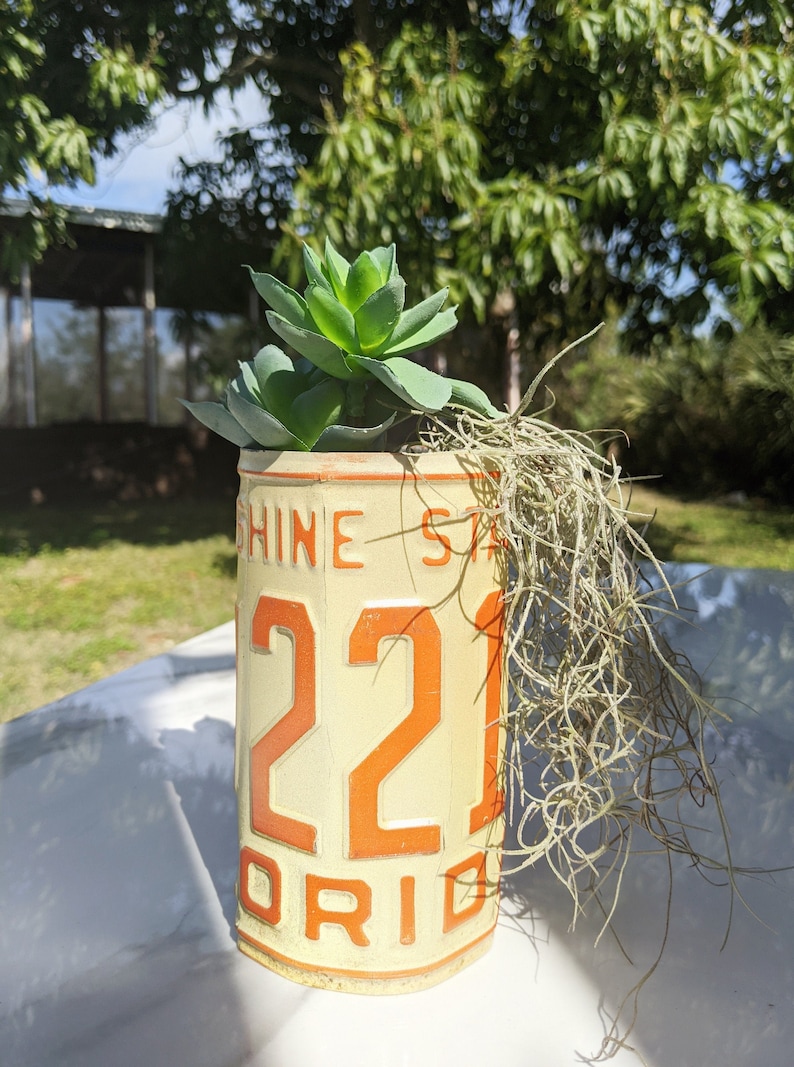 License Plate Planters