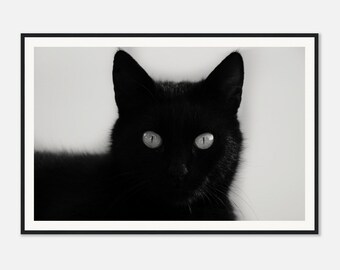 や*)様 babythree 1000%　黒猫　レア目 黒猫のアートプリント：青い目、ヴィンテージワイヤーハンガー（4x5