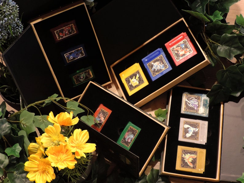 Pokémon Collection Game Holders gen 13 Etsy