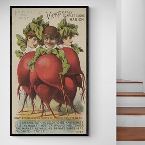 Radieschen Menschen Lustig Anthropomorph Alt Werbung Handel Karte Küche Restaurant Dekor Vintage Antik Fine Art Poster Druck