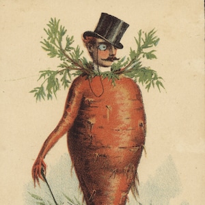 Wortel Man Grappige Antropomorfe Oude Reclame Trade Card Keuken Restaurant Decor Vintage Antieke Poster Print