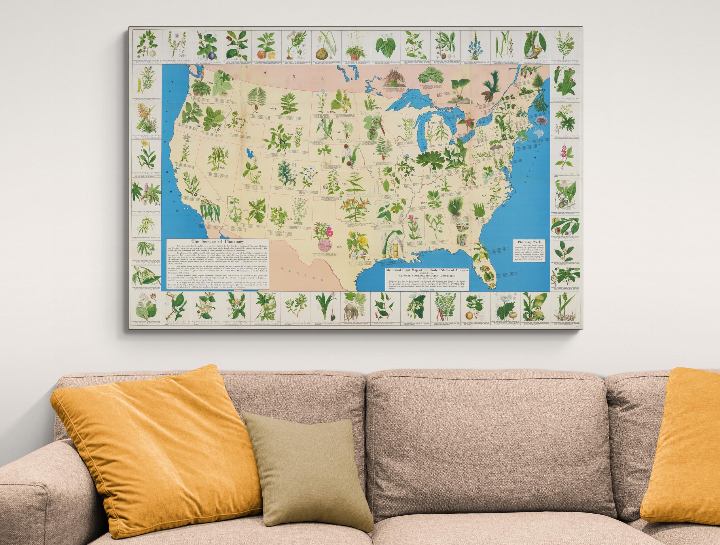 Pictorial Medicinal Herb Map of the United States – Historic Botanical ...