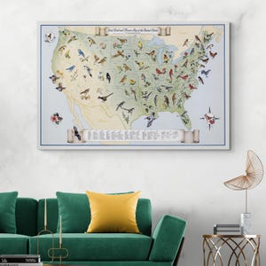 State Bird and State Flower Map of the United States – Vintage Educational Cartography Featuring Official Birds & Flowers of All 50 States