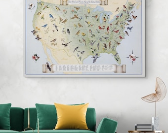 State Bird and State Flower Map of the United States – Vintage Educational Cartography Featuring Official Birds & Flowers of All 50 States