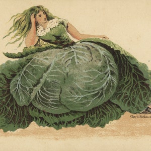 Salat Mädchen Lustige Alte Anthropomorphe Werbung Handel Karte Küche Restaurant Dekor Vintage Antike Kunst Poster Druck