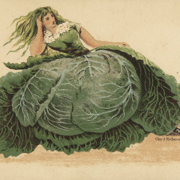 Lettuce Girl Funny Old Anthropomorphic Advertising Trade Card Kitchen Restaurant Decor Vintage Antique Art Poster Print