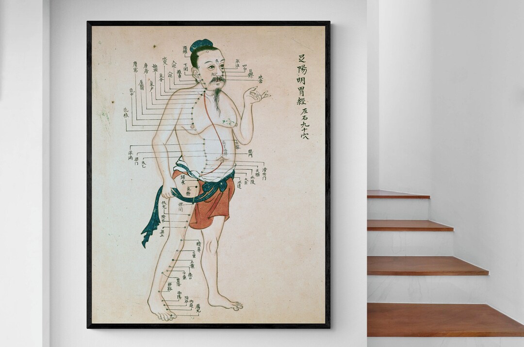 Ancient Chinese Acupuncture Chart Showing Pressure Points Traditional