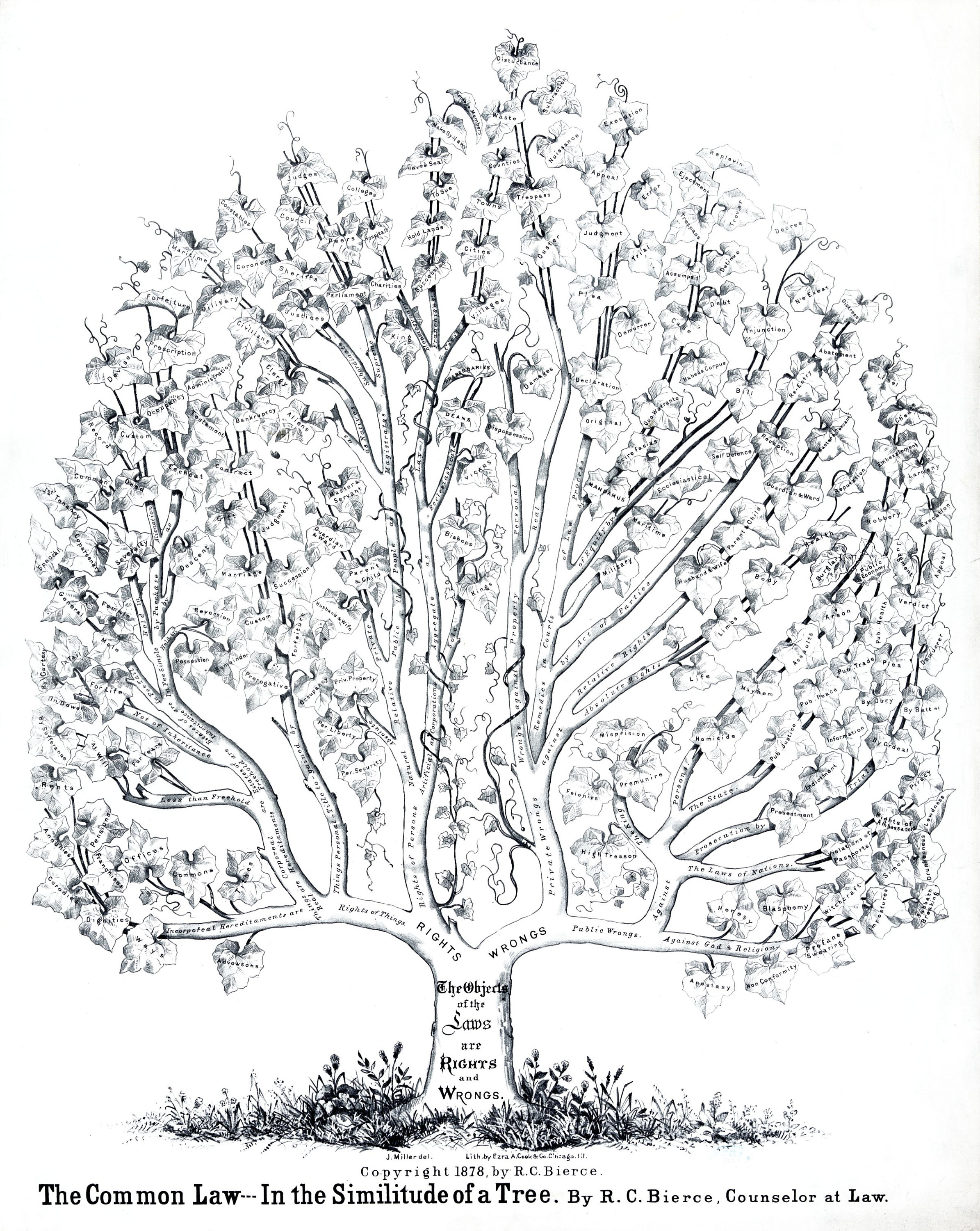 1878-tree-of-law-chart-diagram-morality-right-and-wrong-guide-etsy