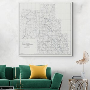 1918 Topographische Karte von Salmon National Forest American Forestry Geographie Kartographie Dekor Fine Art Print