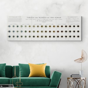 1893 Alphonse Bertillon Oogkleurenkaart Medische Biologie Wetenschap Oogzorg Optometrie Office Decor Fine Art Print