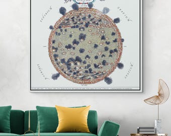 17th Century Athanasius Kircher Map of the Sun | Solar Science Astronomy Chart | History Space Lover Decor | Fine Art Print