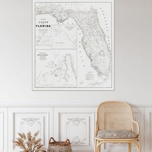 1846 Topografische kaart van Florida Amerikaanse cartografie geschiedenis decor Fine Art Print