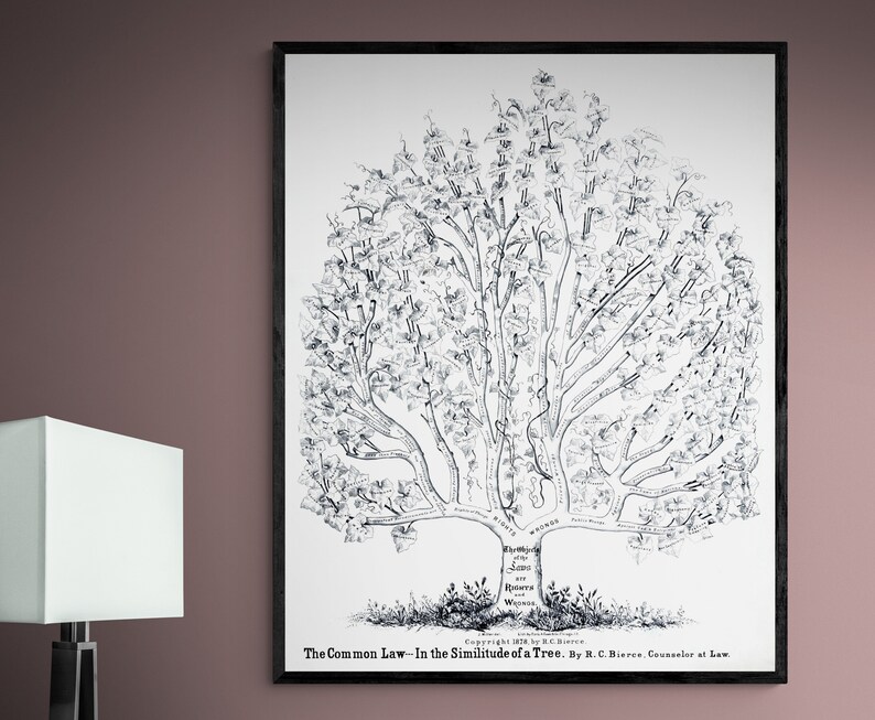 1878 Tree of Law Chart Diagram Morality Right and Wrong Guide - Etsy