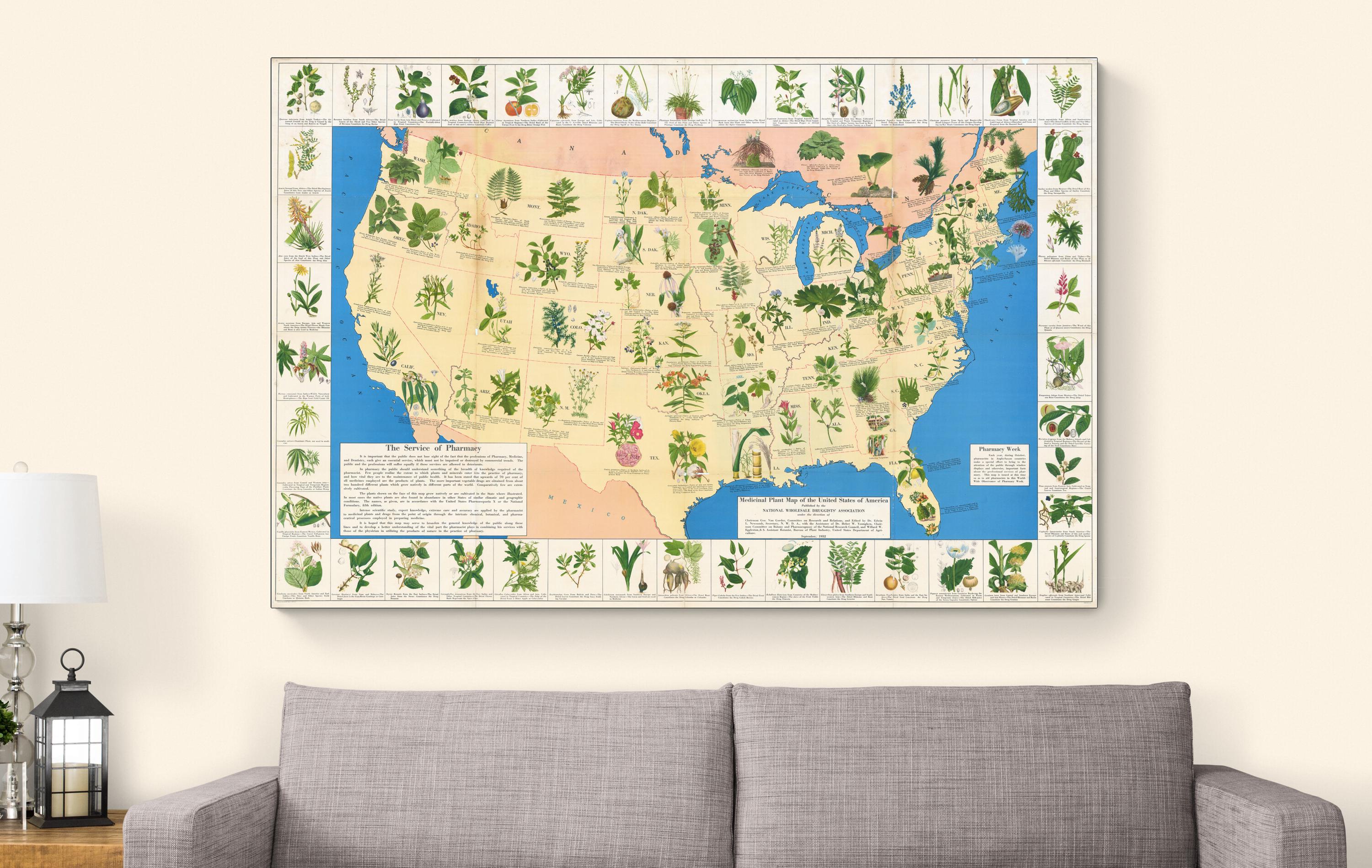 Pictorial Medicinal Herb Map of the United States – Historic Botanical ...