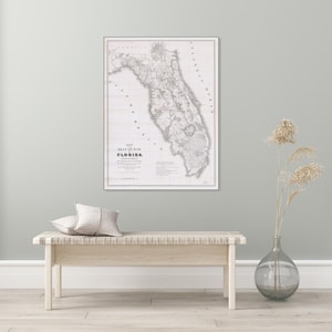 1839 Tweede Seminole oorlog militaire kaart van Florida Amerikaanse geschiedenis cartografie decor Fine Art Print