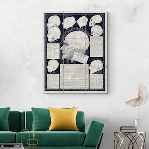 May include: A vintage anatomical chart of the human head with a detailed diagram of the brain and its functions. The chart is printed in black and white on a white background and features multiple illustrations of the head from different angles.