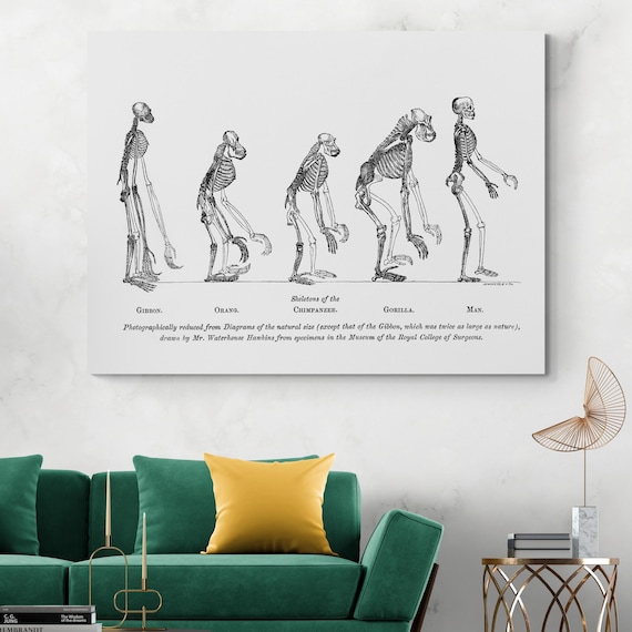 March of Progress – Human Evolution Art Print | Anthropology