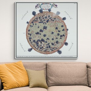 17th Century Athanasius Kircher Map of the Sun | Solar Science Astronomy Chart | History Space Lover Decor | Fine Art Print image 3