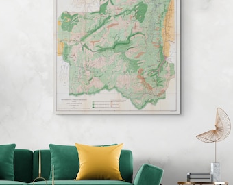 May include: A vintage map of the Southwest Forest Reserves, showing the different land classifications in green, yellow, red, and blue.