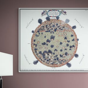 17th Century Athanasius Kircher Map of the Sun | Solar Science Astronomy Chart | History Space Lover Decor | Fine Art Print image 2