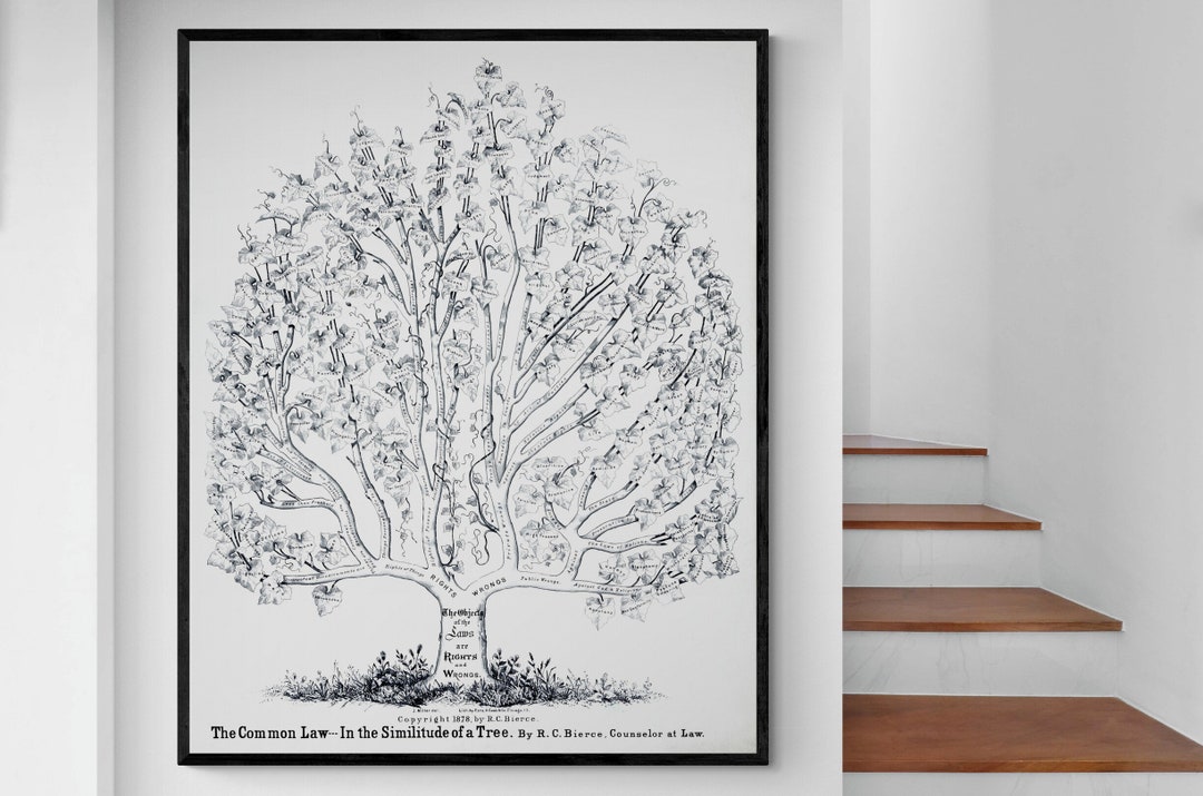 1878 Tree of Law Chart Diagram Morality Right and Wrong Guide - Etsy