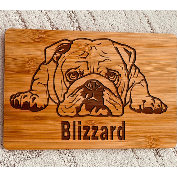 Bulldog presents cheap