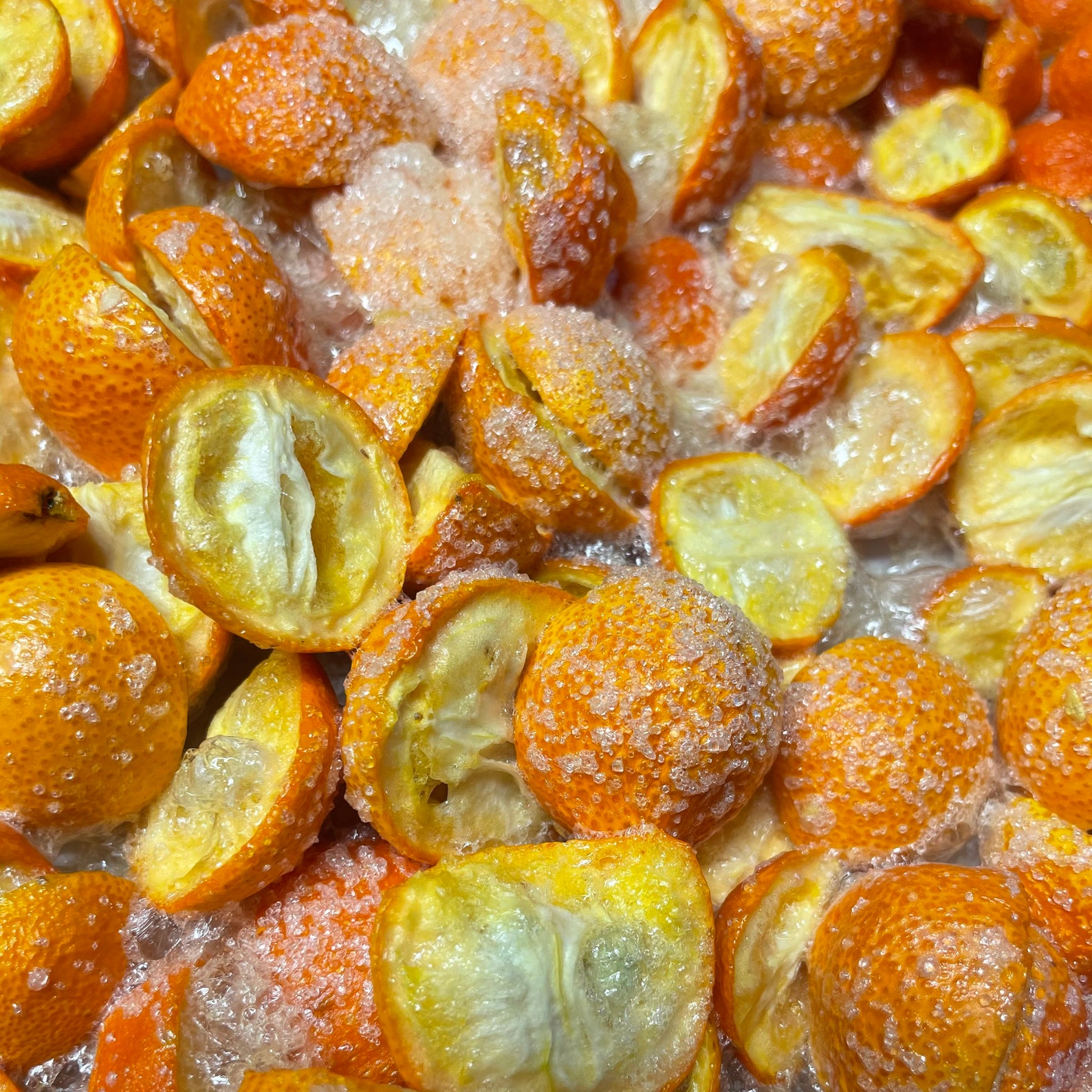 Freeze Dried Kumquats Meiwa Variety Topped With Organic Etsy