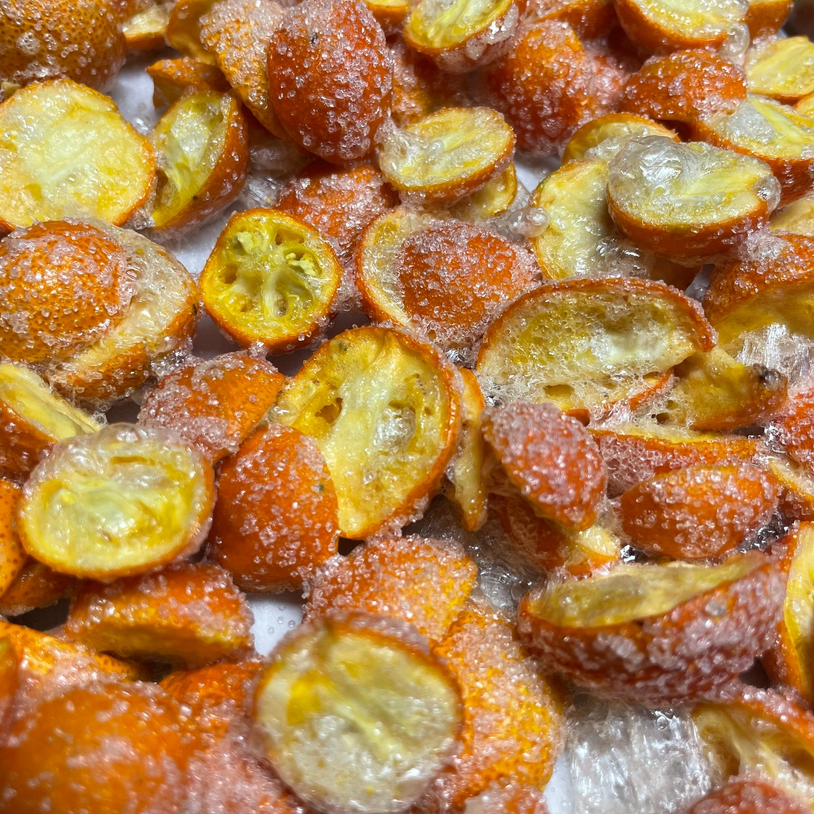 Freeze Dried Kumquats Meiwa Variety Topped With Organic Etsy