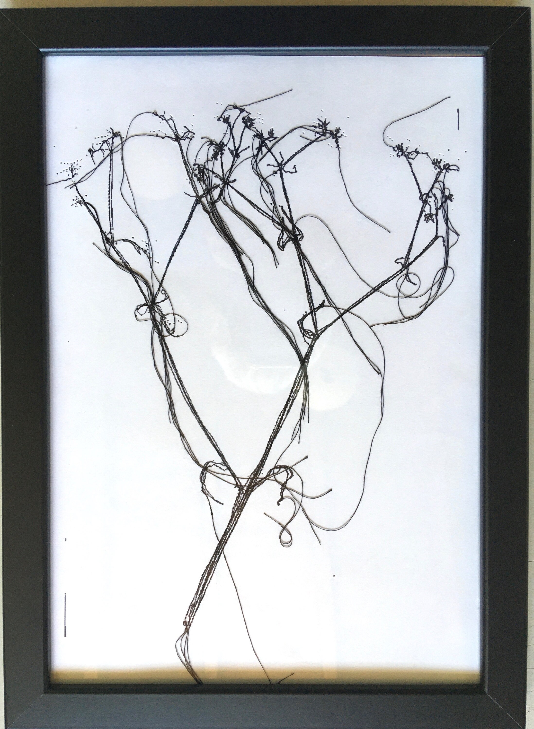 Boho Floral Délicate Noir et Blanc - Impression de Dessin Brodé Au Machine, Encadre Sans Cadre